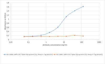 ELISA: SARS-CoV-2 Spike Antibody (CR3022) - Azide and BSA Free [NBP2-90980]