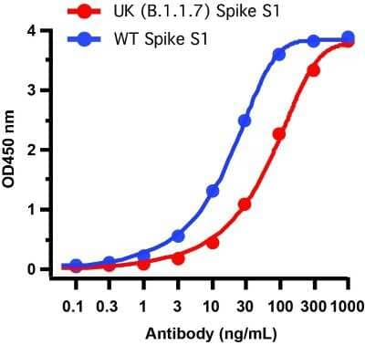 ELISA: SARS-CoV-2 Spike Antibody - BSA Free [NBP3-11940]