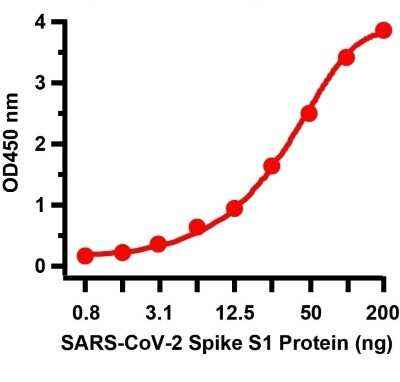 ELISA: SARS-CoV-2 Spike Antibody - BSA Free [NBP3-11940]
