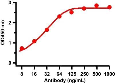 ELISA: SARS-CoV-2 Spike Antibody - BSA Free [NBP3-11940]