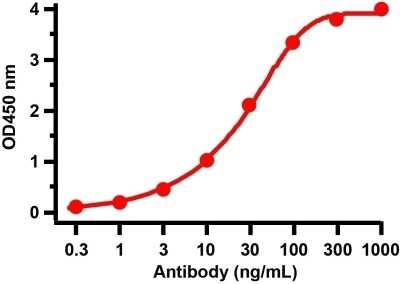 ELISA: SARS-CoV-2 Spike Antibody - BSA Free [NBP3-11940]