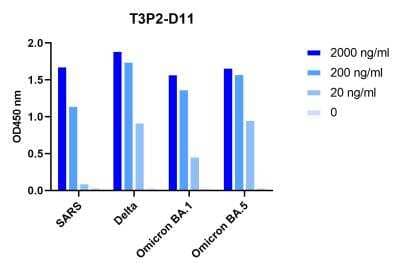 ELISA: SARS-CoV-2 Spike Antibody (T3P2D11) - VHH - Azide and BSA Free [NBP3-18524]