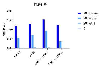 ELISA: SARS-CoV-2 Spike Antibody (T3P2E1) - VHH - Azide and BSA Free [NBP3-18526]