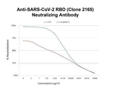 Neutralization: SARS-CoV-2 Spike RBD Antibody (2165) - Azide and BSA Free [NBP3-07066]