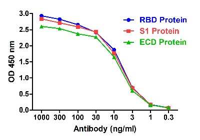 ELISA: SARS-CoV-2 Spike RBD Antibody (T5P4-A12) - VHH - Azide and BSA Free [NBP3-12844]