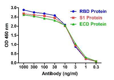 ELISA: SARS-CoV-2 Spike RBD Antibody (T5P7-G10) - VHH - Azide and BSA Free [NBP3-12845]