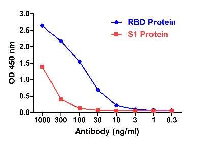 ELISA: SARS-CoV-2 Spike RBD Antibody (T5P8-F9) - VHH - Azide and BSA Free [NBP3-12846]