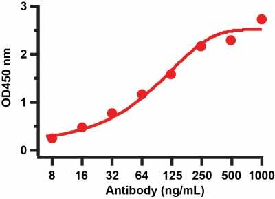 ELISA: SARS-CoV-2 Spike S2 Antibody - BSA Free [NBP3-05701]