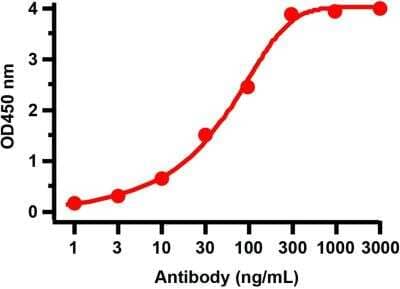 ELISA: SARS-CoV-2 nsp13 Antibody - BSA Free [NBP3-07055]