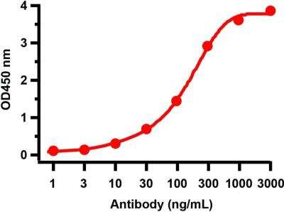 ELISA: SARS-CoV-2 nsp13 Antibody - BSA Free [NBP3-07056]