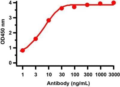 ELISA: SARS-CoV-2 nsp15 Antibody - BSA Free [NBP3-11932]