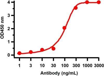 ELISA: SARS-CoV-2 nsp2 Antibody - BSA Free [NBP3-07051]