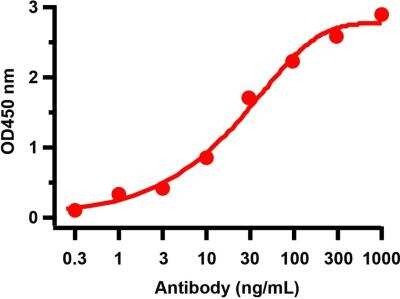 ELISA: SARS-CoV-2 nsp4 Antibody - BSA Free [NBP3-07050]