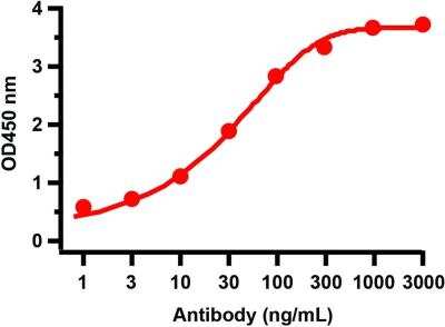 ELISA: SARS-CoV-2 nsp7 Antibody - BSA Free [NBP3-07048]