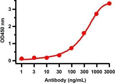 ELISA: SARS-CoV-2 nsp8 Antibody - BSA Free [NBP3-07046]