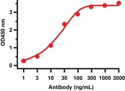 ELISA: SARS-CoV-2 nsp8 Antibody - BSA Free [NBP3-07047]