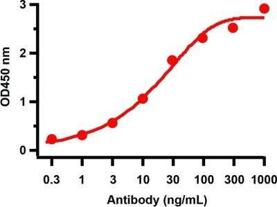 ELISA: SARS-CoV-2 nsp9 Antibody - BSA Free [NBP3-07044]