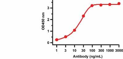ELISA: SARS-CoV-2 nsp9 Antibody - BSA Free [NBP3-07045]
