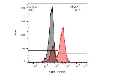 Flow Cytometry: SARS-CoV NSP8 Antibody (5A10) [NBP3-13528]