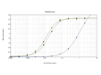 ELISA: SARS Nucleocapsid Protein Antibody [NBP2-44205]