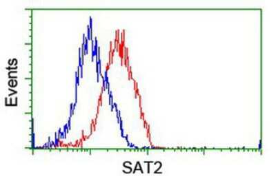 Flow Cytometry: SAT2 Antibody (OTI1C9) [NBP2-01998]