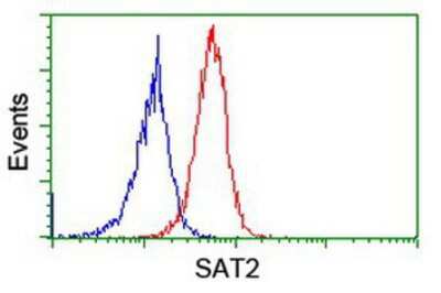 Flow Cytometry: SAT2 Antibody (OTI1C9) [NBP2-01998]