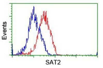 Flow Cytometry: SAT2 Antibody (OTI1C9) - Azide and BSA Free [NBP2-73990]