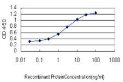 ELISA: SAV1 Antibody (3B2) [H00060485-M02]