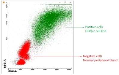 Flow Cytometry: SCD-1 Antibody [NB100-2476]