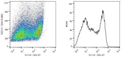 Flow Cytometry: SCIMP Antibody (NVL-07) - BSA Free [NBP2-22349]