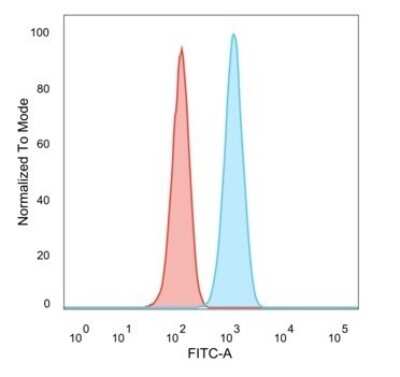 Flow Cytometry: SCX Antibody (PCRP-SCXA-2D11) - Azide and BSA Free [NBP3-08516]