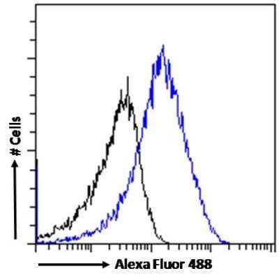 Flow Cytometry: SDHB Antibody [NB600-793]