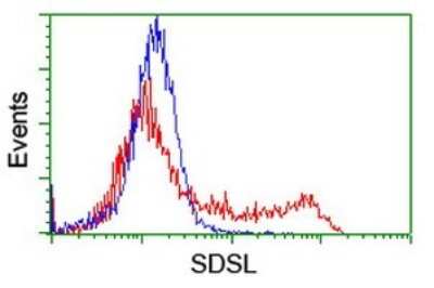 Flow Cytometry: SDSL Antibody (OTI1A8) [NBP2-45978]