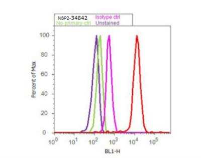 Flow Cytometry: SEC23A Antibody [NBP2-34842]