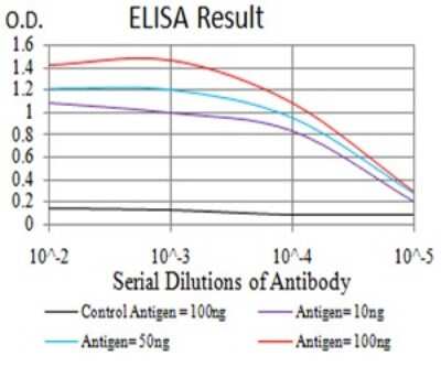 ELISA: SELS Antibody (5G4A10) - BSA Free [NBP2-61877]
