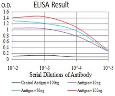 ELISA: SELS Antibody (7F8G1) - BSA Free [NBP2-61876]