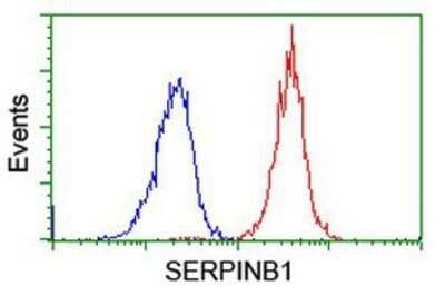 Flow Cytometry: SERPINB1 Antibody (OTI3B4) - Azide and BSA Free [NBP2-74123]