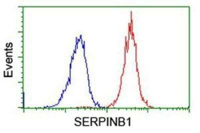 Flow Cytometry: SERPINB1 Antibody (OTI3B4) [NBP2-03828]