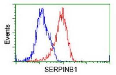 Flow Cytometry: SERPINB1 Antibody (OTI3B4) [NBP2-03828]