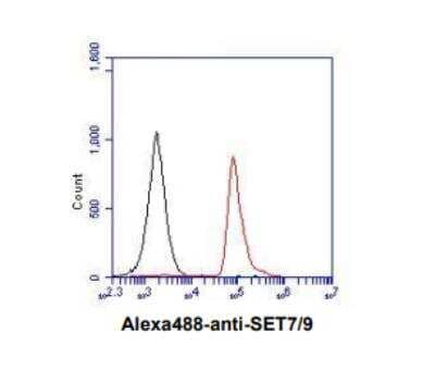 Flow Cytometry: SETD7/9 Antibody (s4E5) - BSA Free [NBP1-04298]