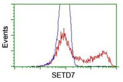 Flow Cytometry: SETD7 Antibody (OTI2D10) [NBP2-01066]