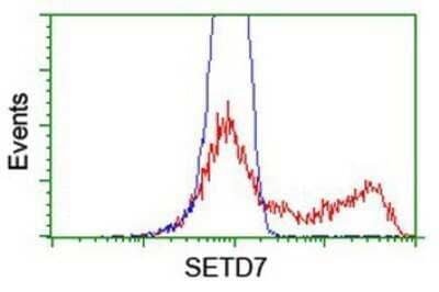 Flow Cytometry: SETD7 Antibody (OTI2D10) - Azide and BSA Free [NBP2-74145]