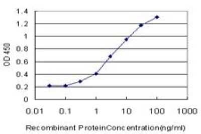 ELISA: SGK1 Antibody (3C4) [H00006446-M04]