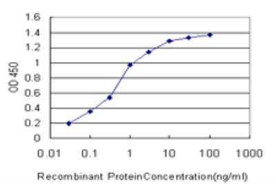 ELISA: SGK2 Antibody (3D2) [H00010110-M09]
