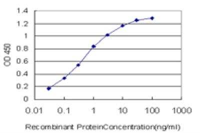 ELISA: SGK2 Antibody (7C7) [H00010110-M08]