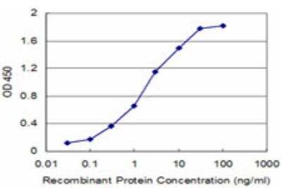 ELISA: SH3BGR Antibody (1B12) [H00006450-M05]