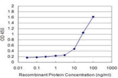 ELISA: SH3BP4 Antibody (2B6) [H00023677-M11]