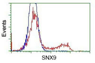 Flow Cytometry: SH3PX1 Antibody (OTI1B5) [NBP2-02609]
