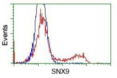 Flow Cytometry: SH3PX1 Antibody (OTI1B5) - Azide and BSA Free [NBP2-74158]