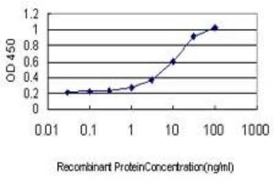ELISA: SHIP2/INPPL1 Antibody (3E6) [H00003636-M01]